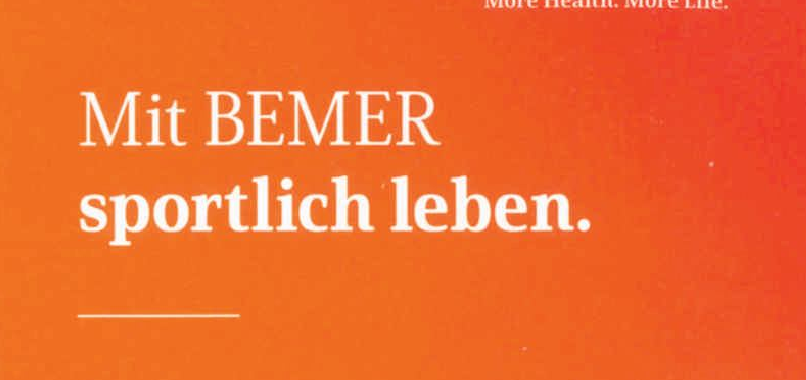 BEMER Vortrag in Lüneburg